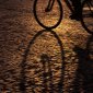 A photobloggers' clichÃ©: Bike shadows